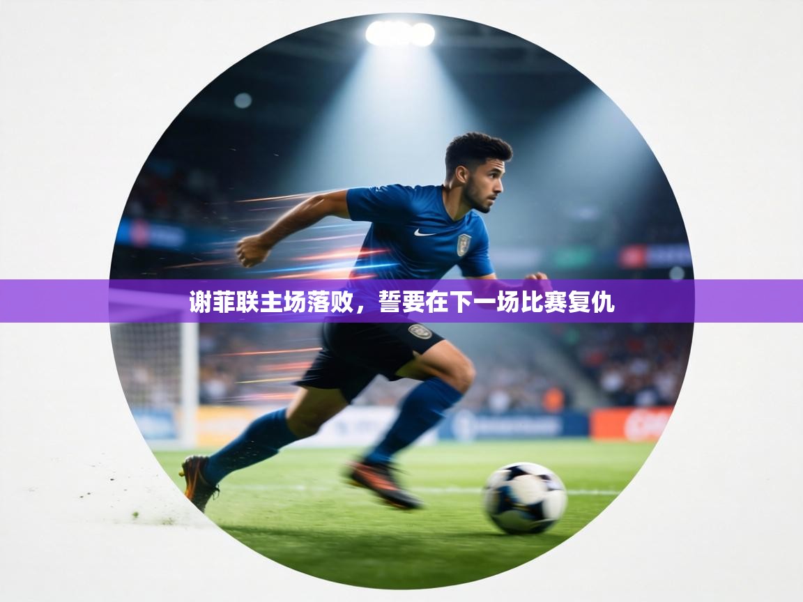 谢菲联主场落败,誓要在下一场比赛复仇 第1张