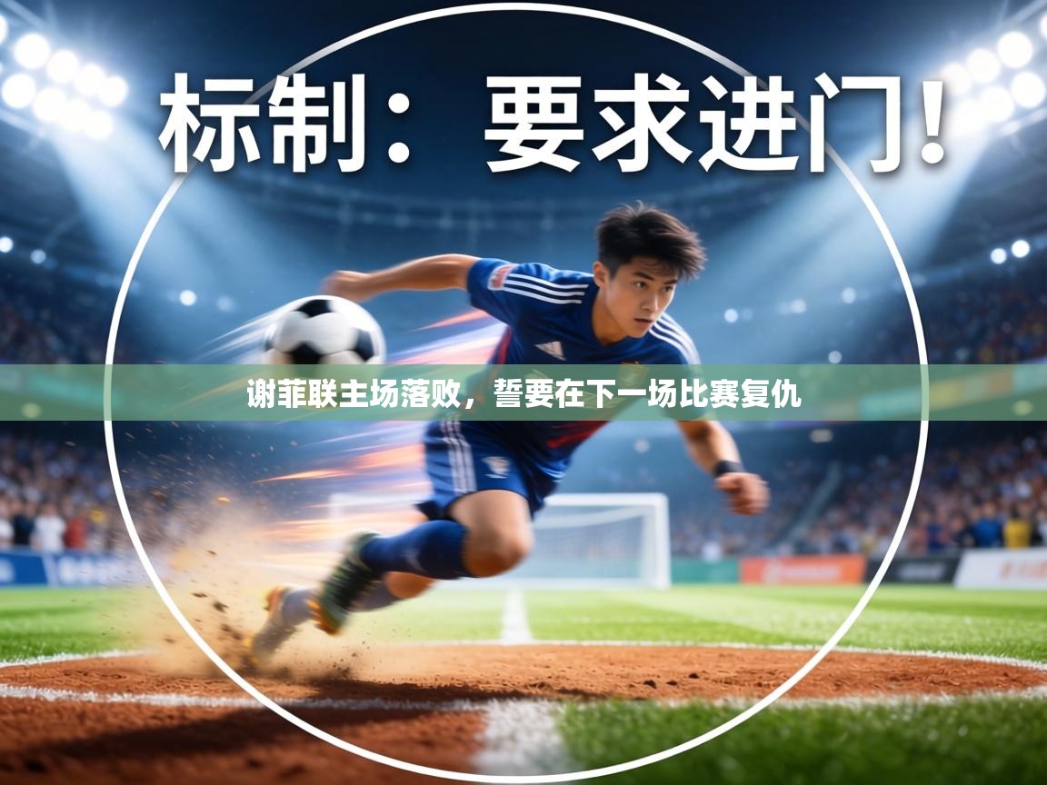 谢菲联主场落败,誓要在下一场比赛复仇 第2张